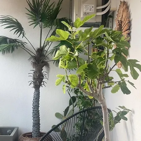 公寓 L'epi Avec Vue -parking En Sous Sol - Wifi - A 50m 拉格朗德默特